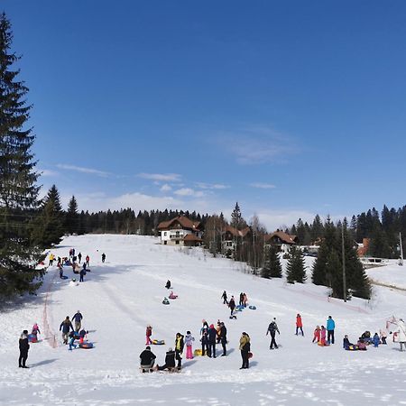 Apartmani Suncani Breg Tara Mitrovac Luaran gambar