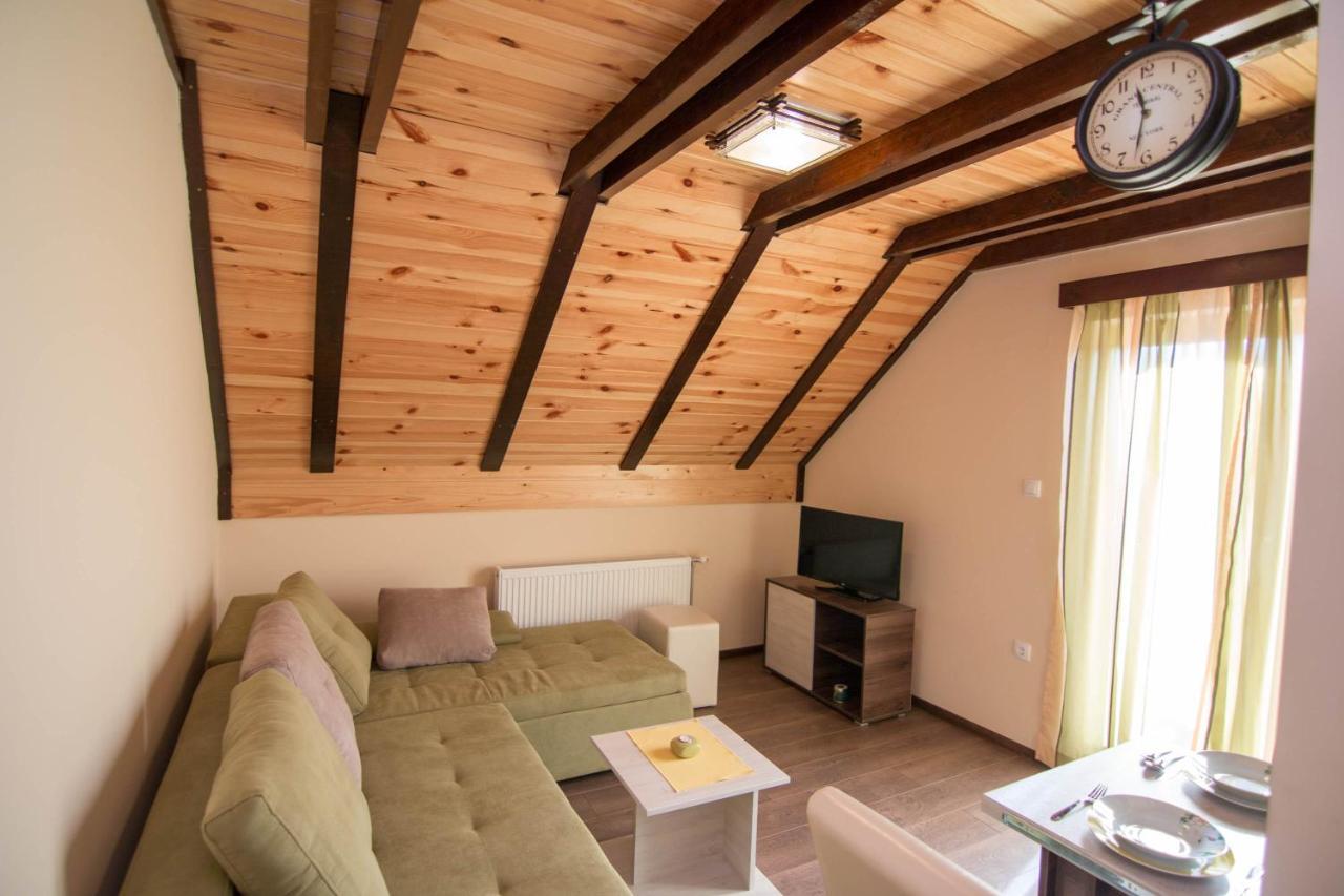 Apartmani Suncani Breg Tara Mitrovac Luaran gambar