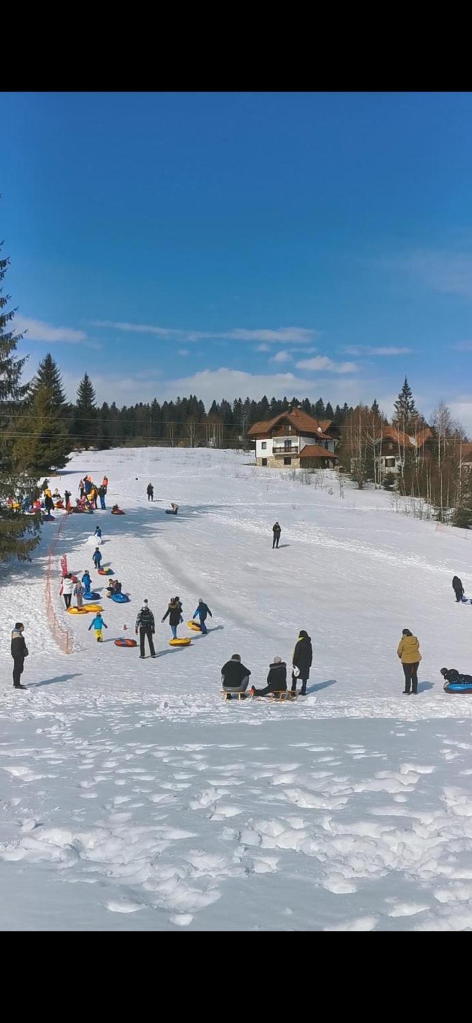 Apartmani Suncani Breg Tara Mitrovac Luaran gambar