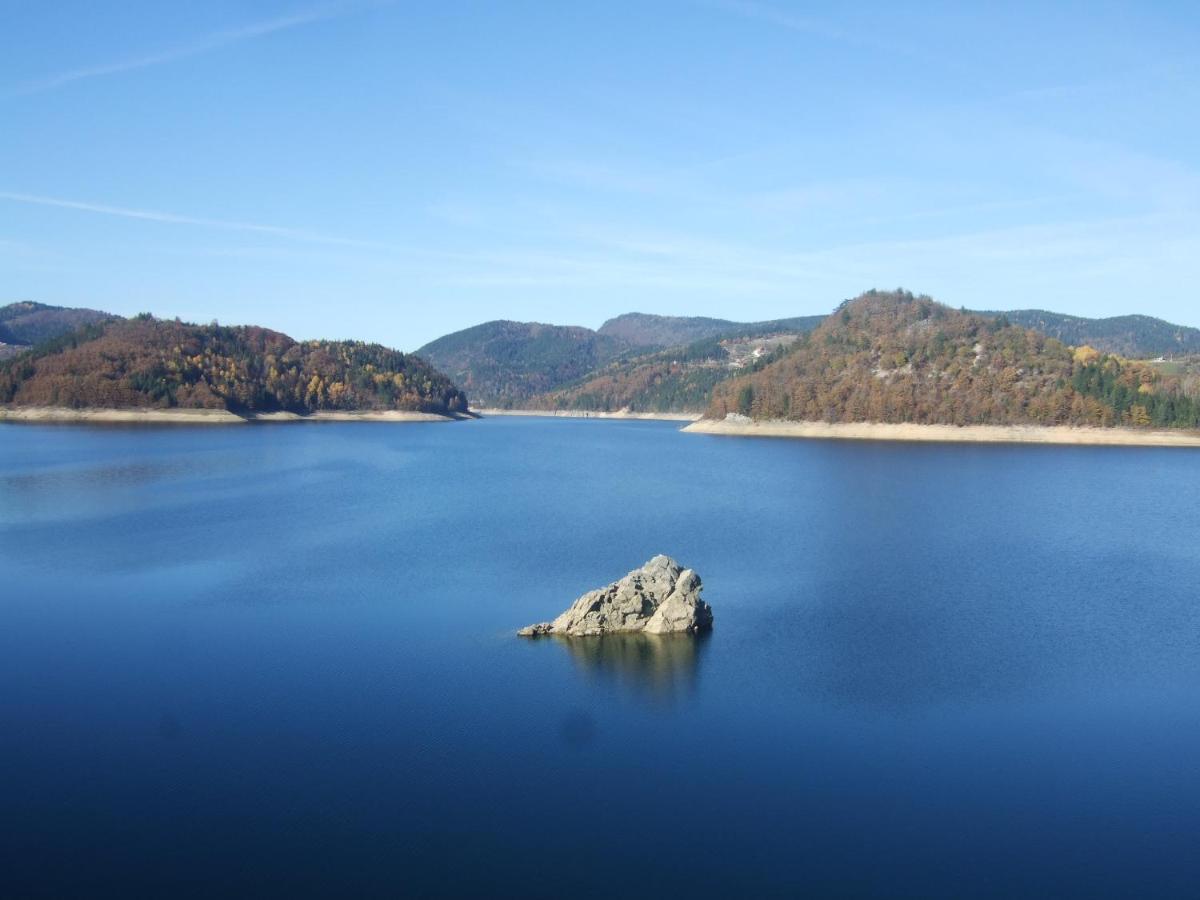Apartmani Suncani Breg Tara Mitrovac Luaran gambar