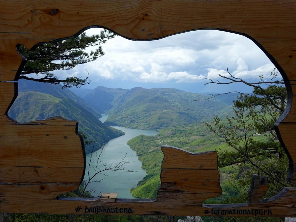 Apartmani Suncani Breg Tara Mitrovac Luaran gambar