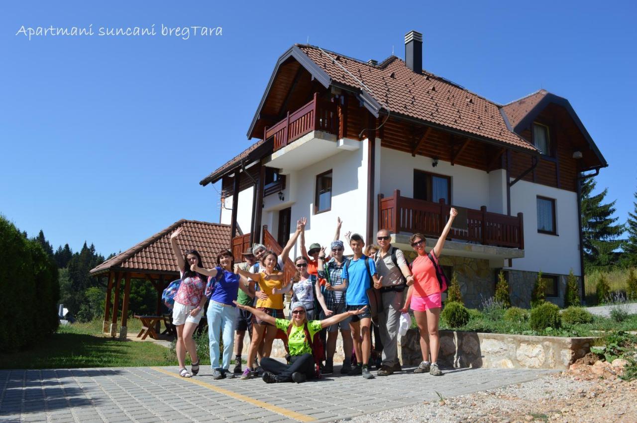 Apartmani Suncani Breg Tara Mitrovac Luaran gambar