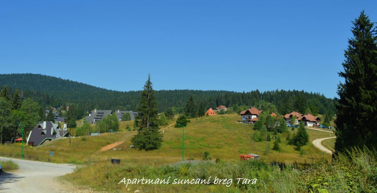 Apartmani Suncani Breg Tara Mitrovac Luaran gambar