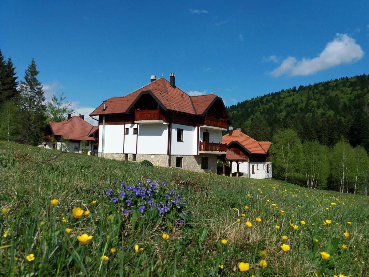 Apartmani Suncani Breg Tara Mitrovac Luaran gambar